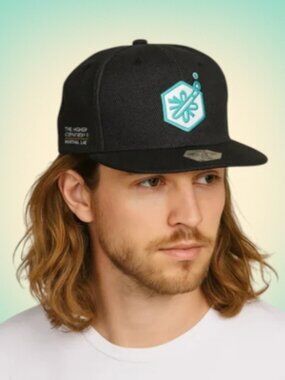 Hemp Satin Lined Snapback Black Grassroots California Limited Edition Hat